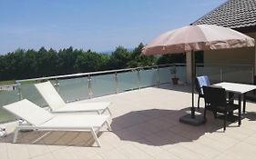 Studio Elli Koper